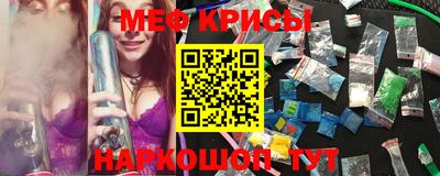 гашик Берёзовский